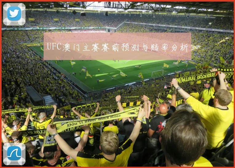 UFC澳门主赛赛前预测与赔率分析