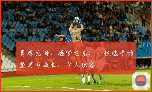 青春无悔，逐梦电竞：一位选手的坚持与成长，令人动容