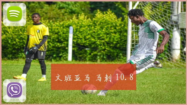 文班亚马 马刺 10.8