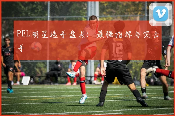 PEL明星选手盘点：最强指挥与突击手