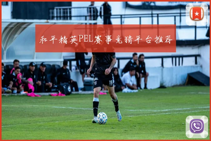和平精英PEL赛事竞猜平台推荐