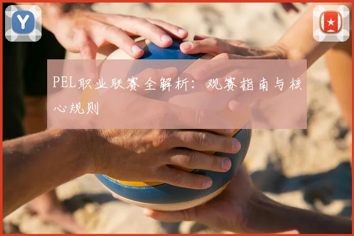 PEL职业联赛全解析：观赛指南与核心规则