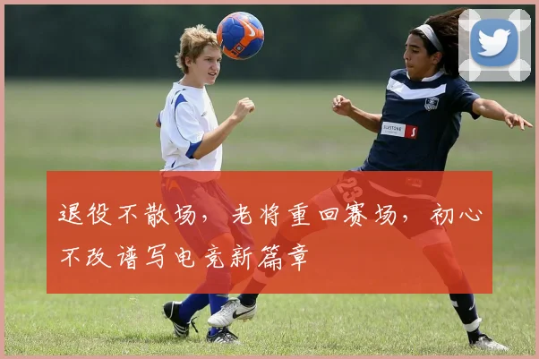 退役不散场,老将重回赛场,初心不改谱写电竞新篇章